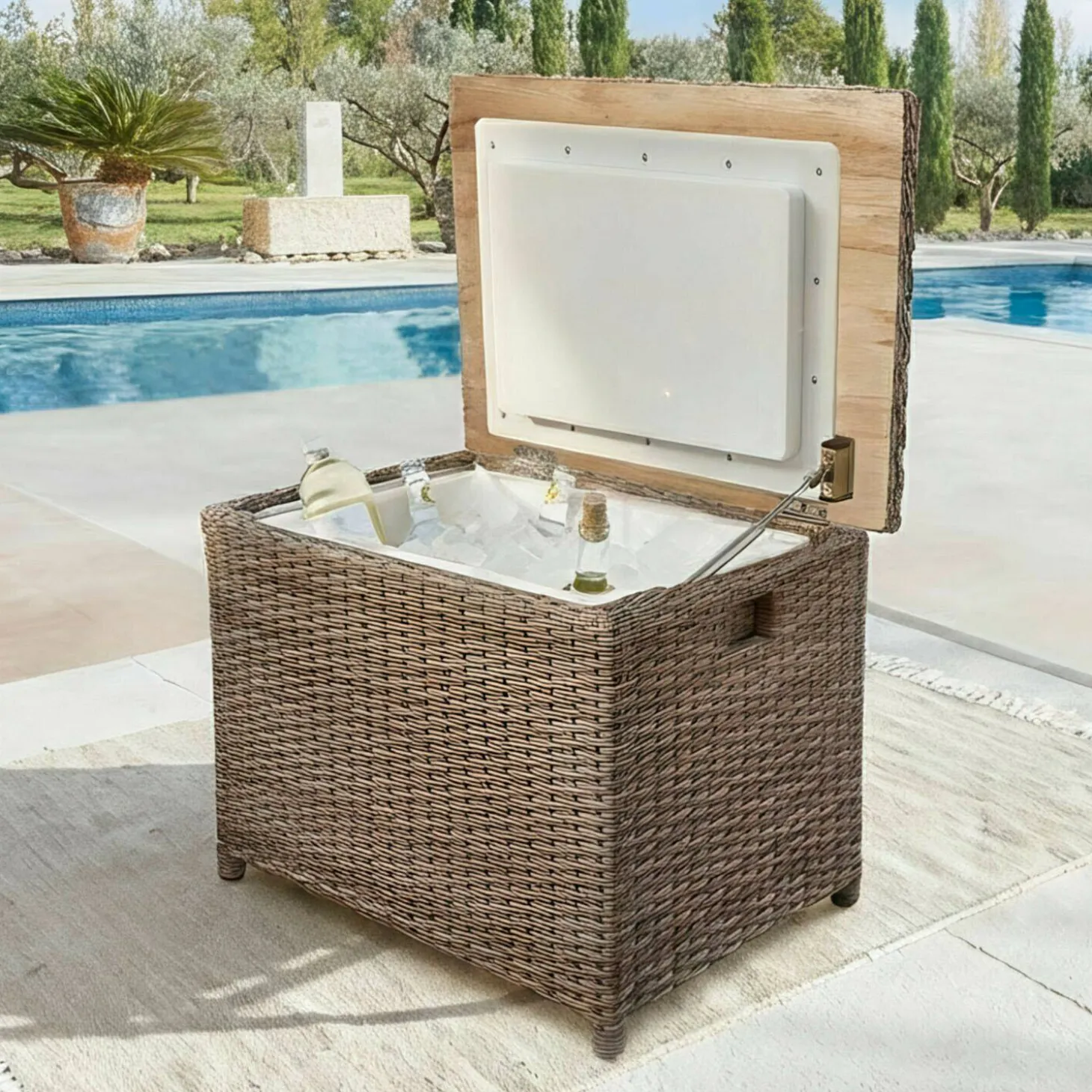 Box frigo Salvico