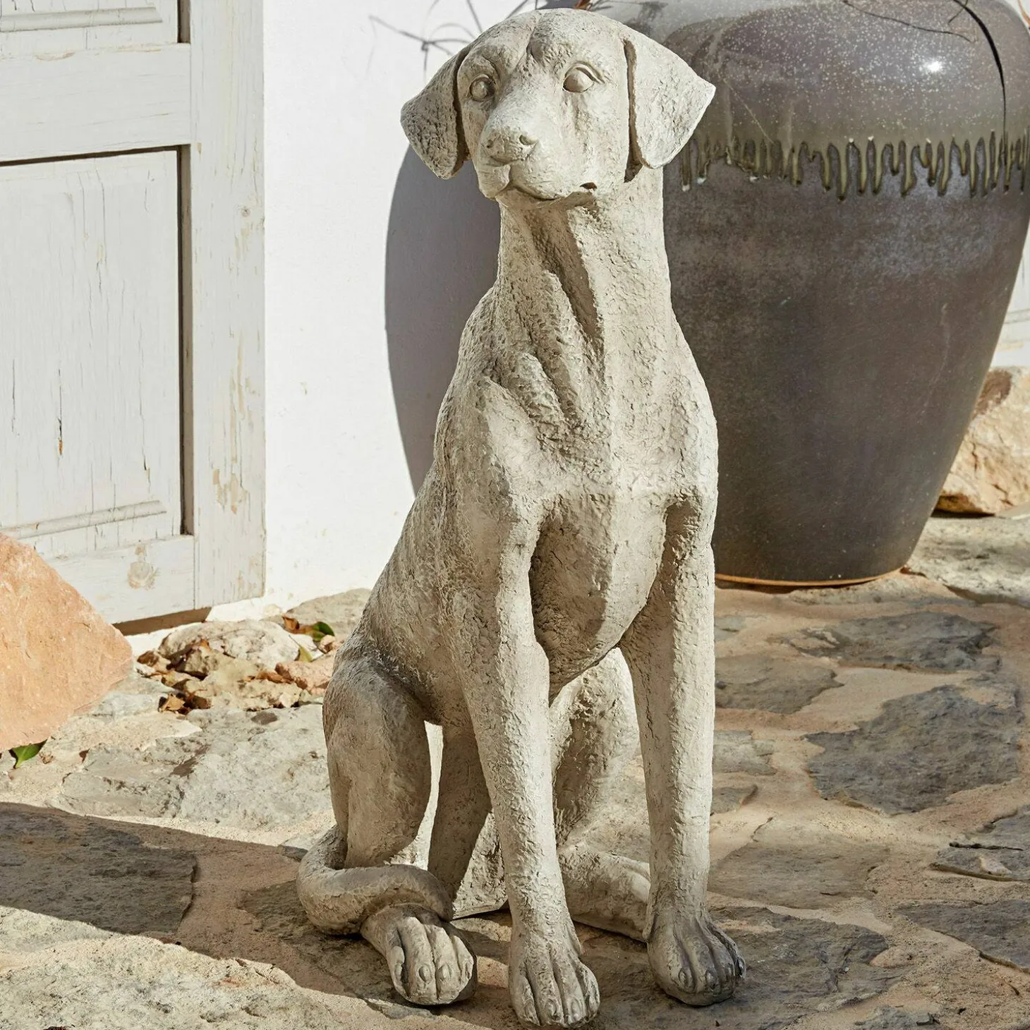 Cane decorativo Elliot