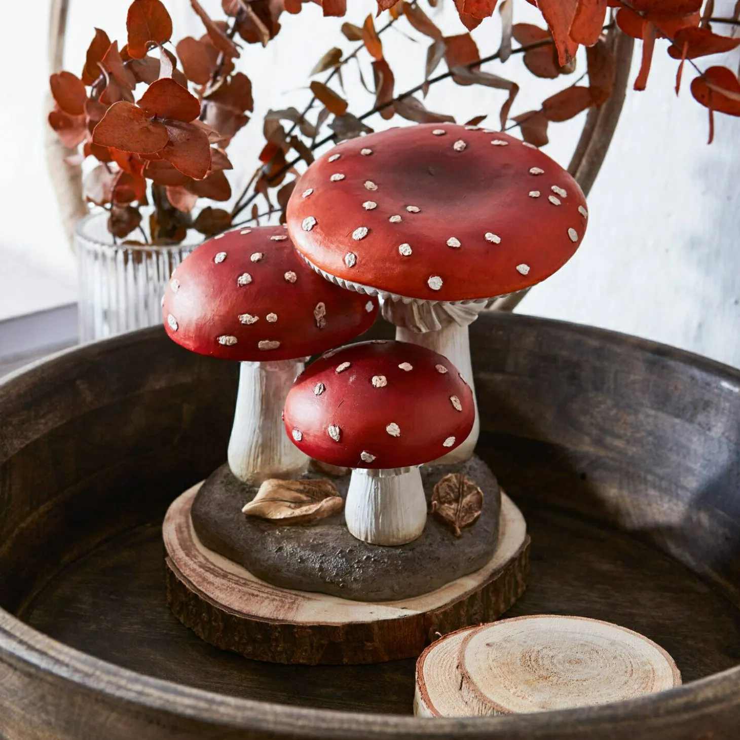 Funghi decorativi Lupton