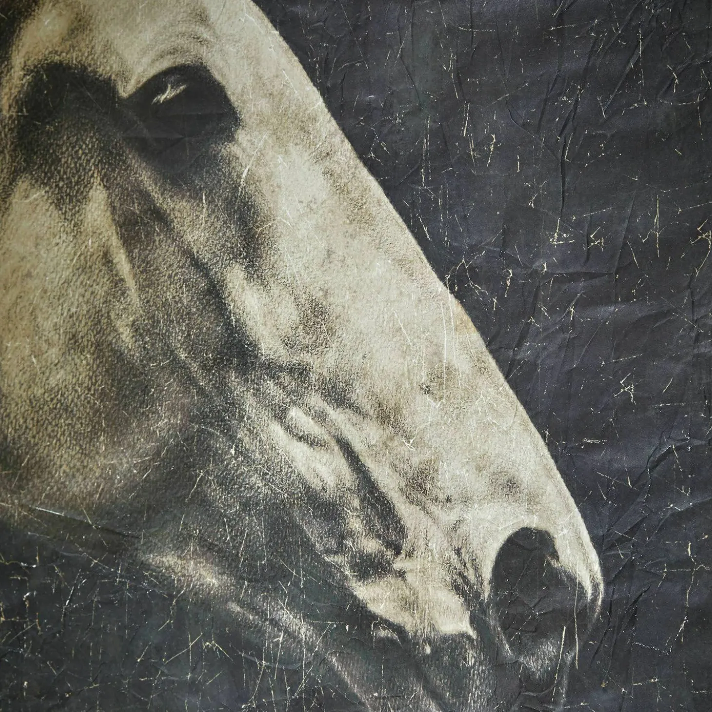 Quadro Ravonnach