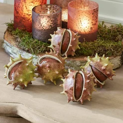 Set di 5 castagne decorative Léo