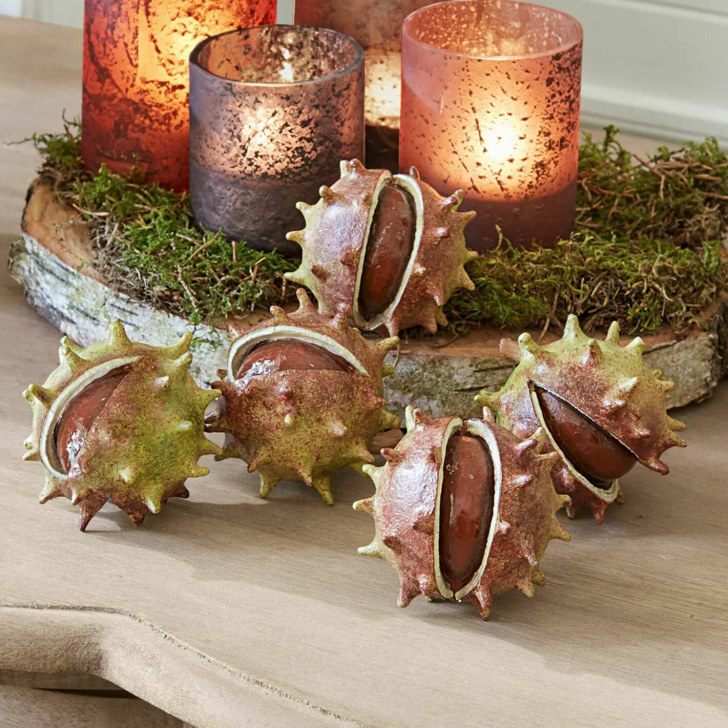 Set di 5 castagne decorative Léo